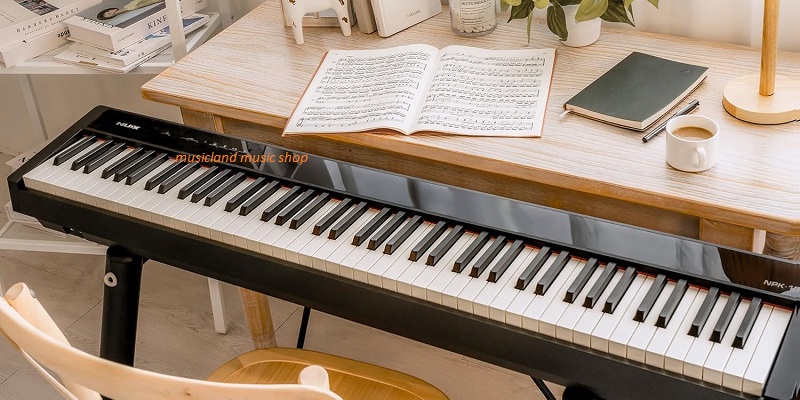 NUX NPK-10 88-Key Hammer-Action Portable Digital Piano